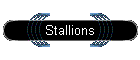 Stallions