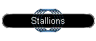 Stallions